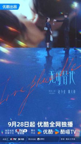 无可替代