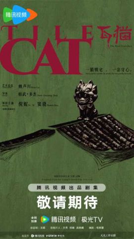 瓦猫 瓦猫